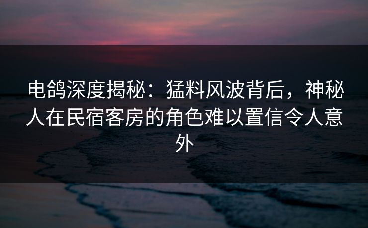 电鸽深度揭秘:猛料风波背后,神秘人在民宿客房的角色难以置信令人意外