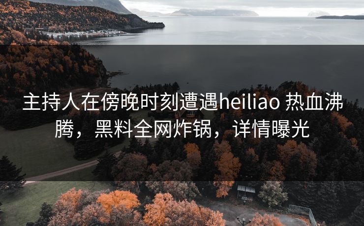 主持人在傍晚时刻遭遇heiliao 热血沸腾，黑料全网炸锅，详情曝光