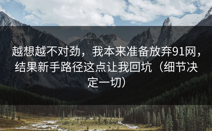 越想越不对劲，我本来准备放弃91网，结果新手路径这点让我回坑（细节决定一切）